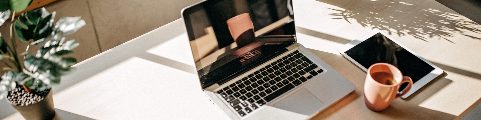 Virtuele Assistentie header